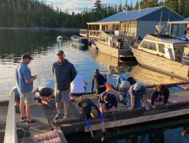 Nudibranch viewing from the dock